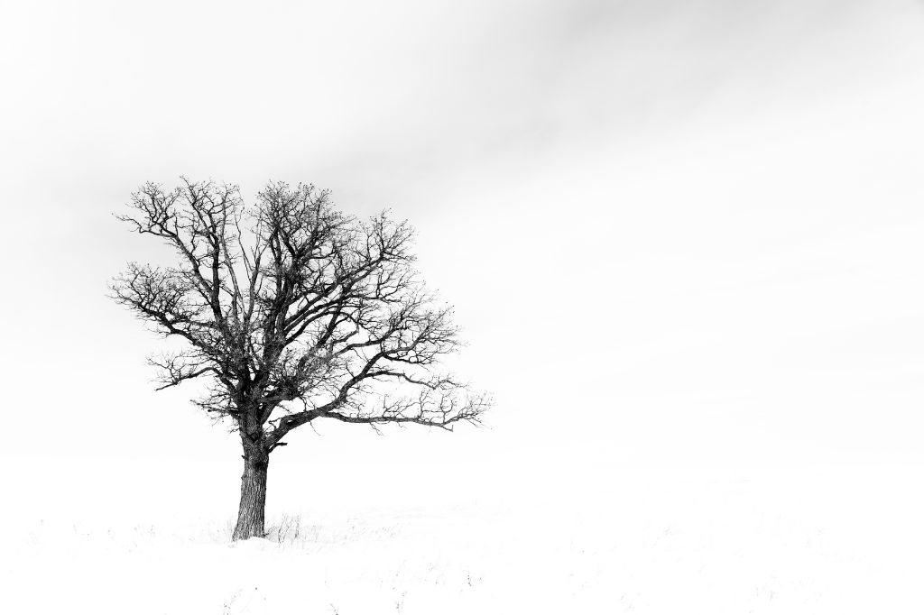 Winter landscape photo with negative space